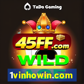 1vinhowin.com