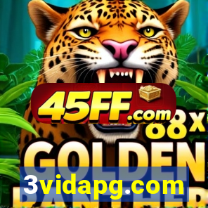 3vidapg.com
