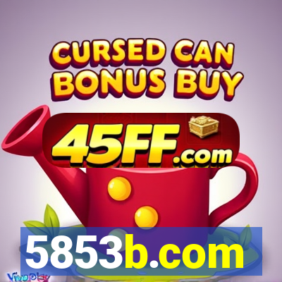 5853b.com