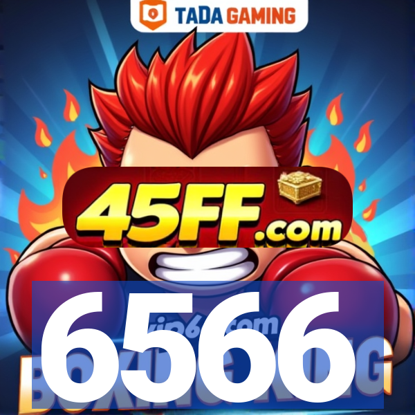 6566