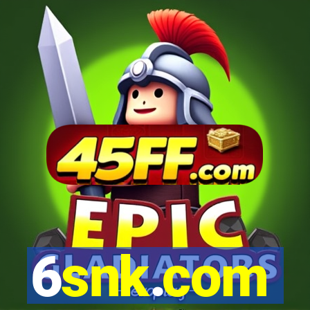 6snk.com