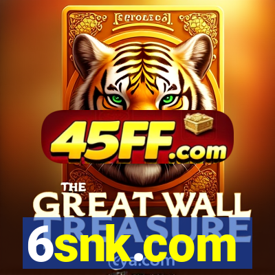 6snk.com