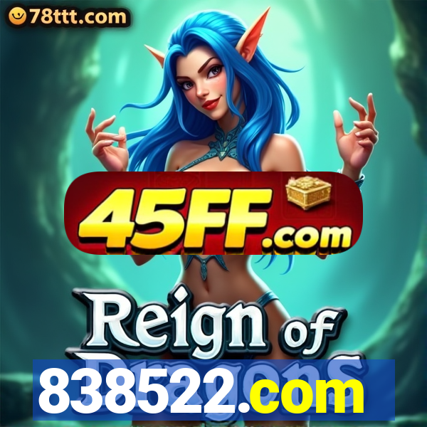 838522.com