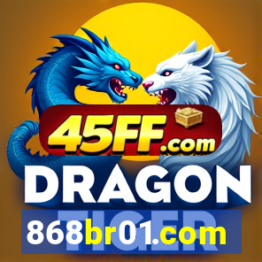 868br01.com