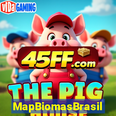 MapBiomasBrasil