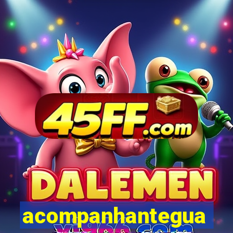 acompanhanteguanambi