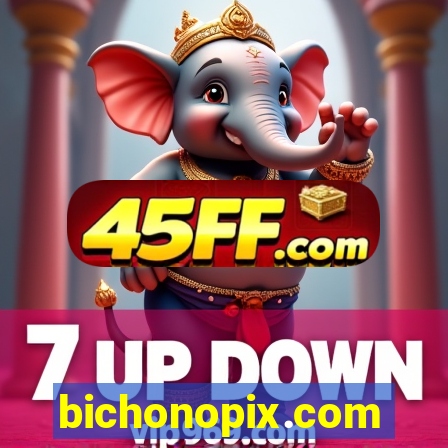 bichonopix.com