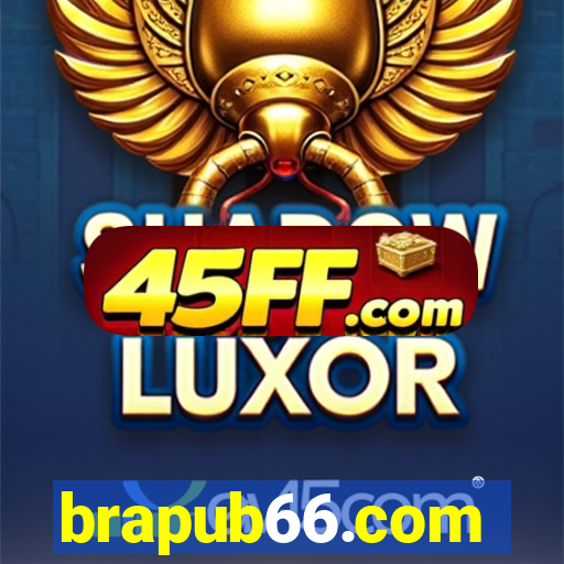brapub66.com