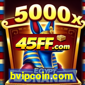 bvipcoin.com