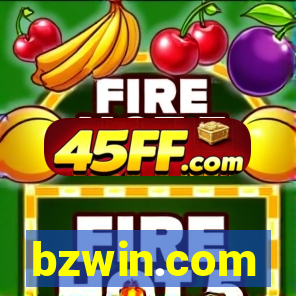 bzwin.com