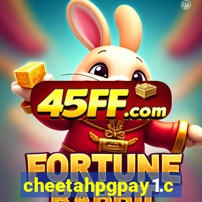 cheetahpgpay1.com
