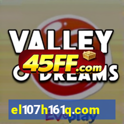 el107h161q.com
