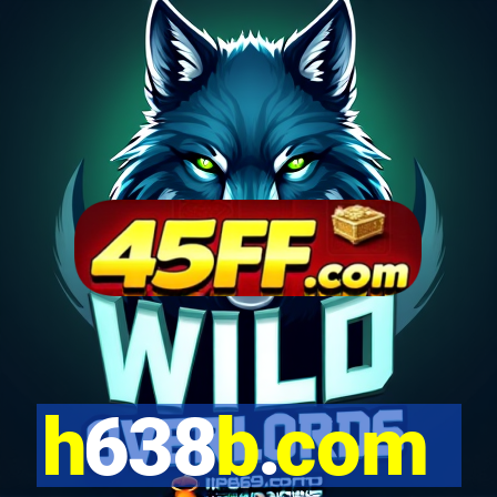h638b.com