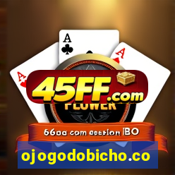 ojogodobicho.com