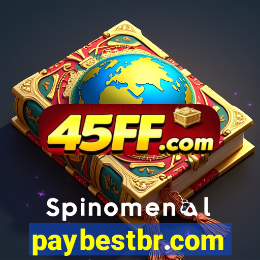 paybestbr.com