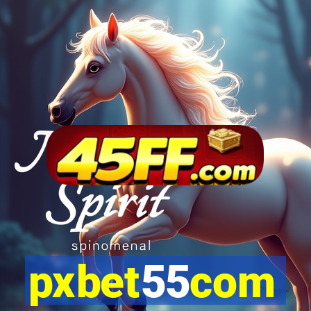 pxbet55com