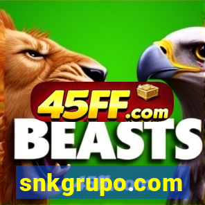 snkgrupo.com