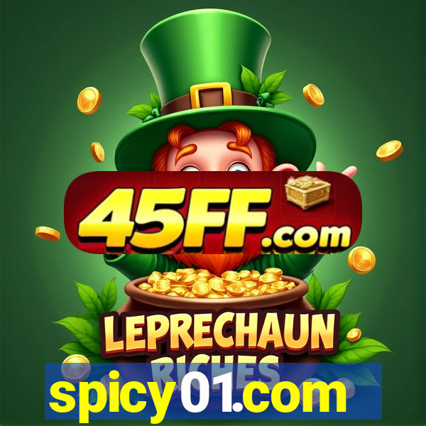 spicy01.com