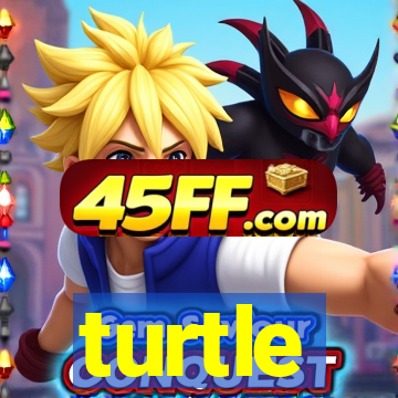 turtle-ty.com