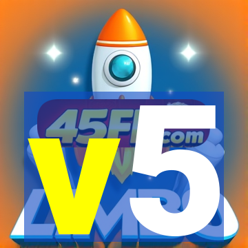 v5-lewa.com