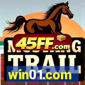 win01.com