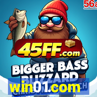win01.com