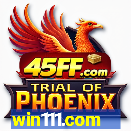 win111.com