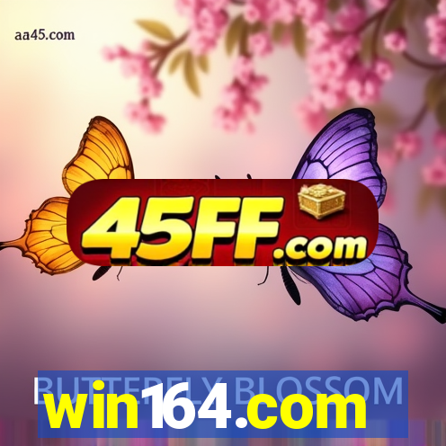 win164.com