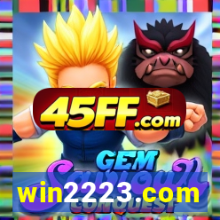 win2223.com