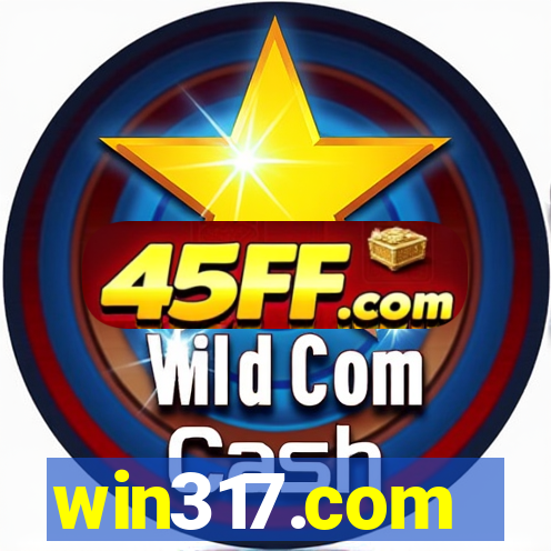 win317.com