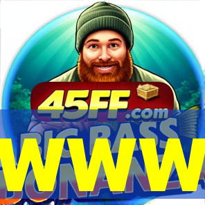 www-zz999.com